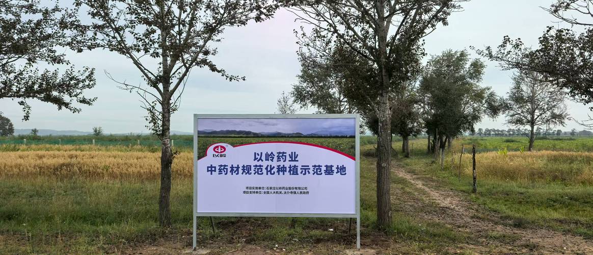 本草在线药材